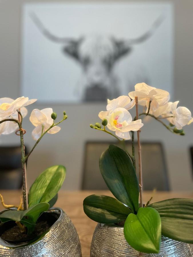 Winterberg Appartement Winterspot מראה חיצוני תמונה